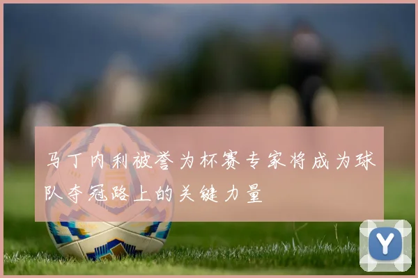 马丁内利被誉为杯赛专家将成为球队夺冠路上的关键力量