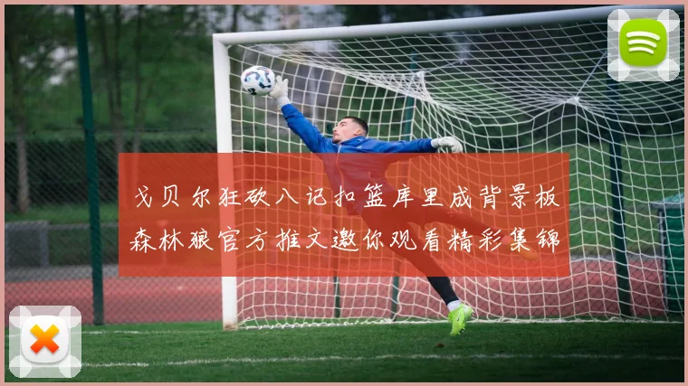 戈贝尔狂砍八记扣篮库里成背景板森林狼官方推文邀你观看精彩集锦