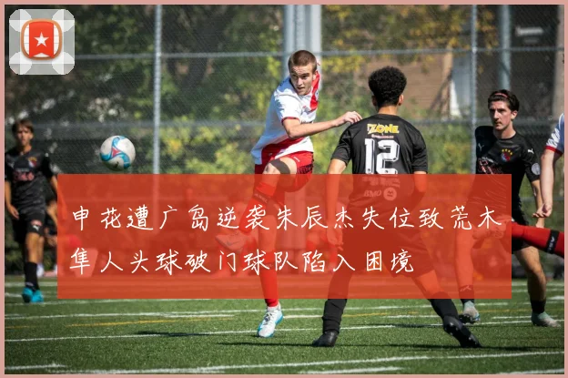 申花遭广岛逆袭朱辰杰失位致荒木隼人头球破门球队陷入困境