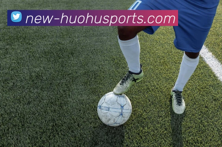 火狐体育平台生态图